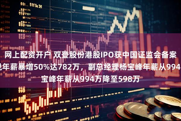 网上配资开户 双登股份港股IPO获中国证监会备案：董事长杨锐年薪暴增50%达782万，副总经理杨宝峰年薪从994万降至598万